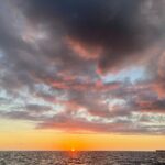 Waikiki Sunset Boat Cruise - Authentic Perspectives from Reviewers