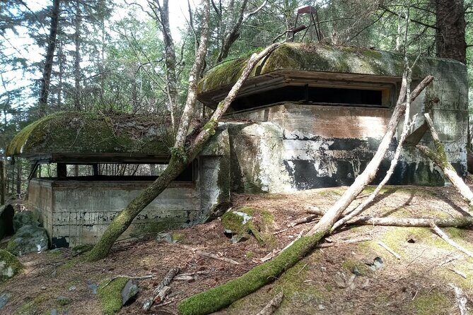 War Bunkers and Wildlife Kayak Tour in Sitka, Alaska - In-Depth Look at the Tour