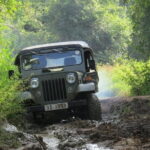 Wasgamuwa National Park Safari from Kandy - The Itinerary: What to Expect