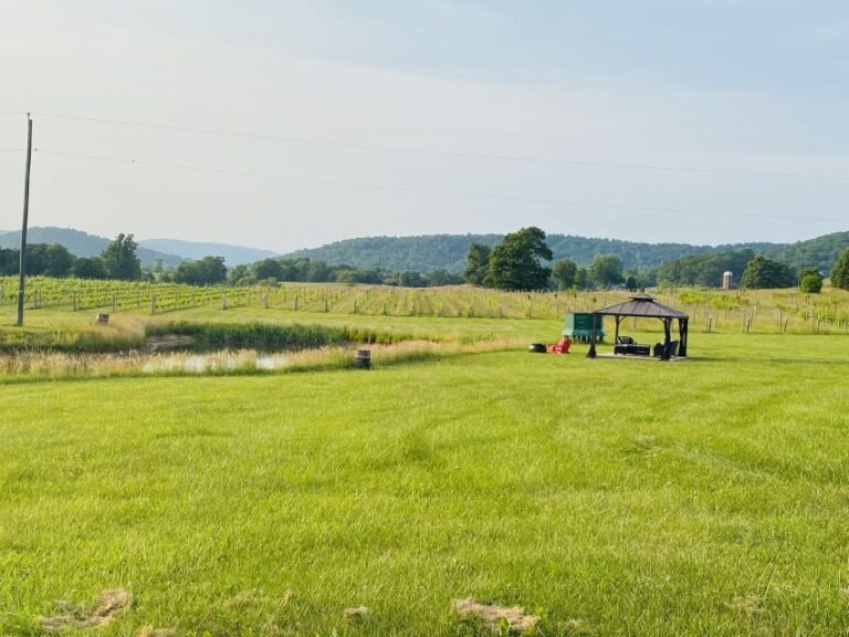 Washington, DC: Virginia Wine Region Experience Tour - What to Expect from the Virginia Wine Region Experience Tour