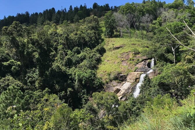 Waterfall Hunting- Bambarakanda & Lanka Falls + Natural Pool Bath - What Makes This Tour Stand Out?