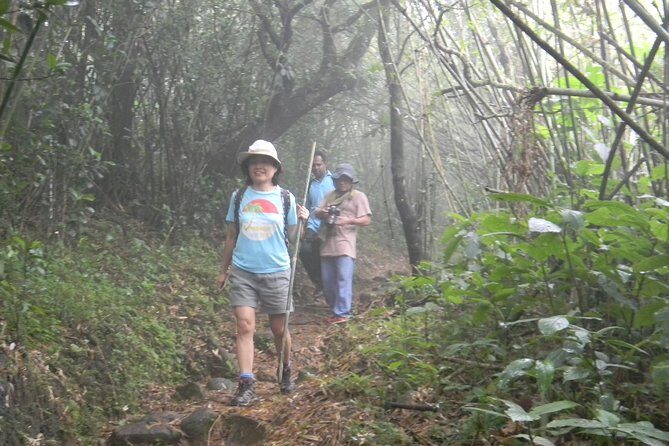 Waterfall Trekking in Knuckles Mountain Range - Exploring the Treacherous Beauty of Knuckles Range