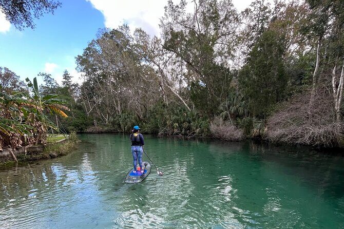 Weeki Wachee Clear Paddle Board Ecotours - Why the Guides Make a Difference