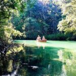 Weeki Wachee kayaking - A Closer Look at the Experience