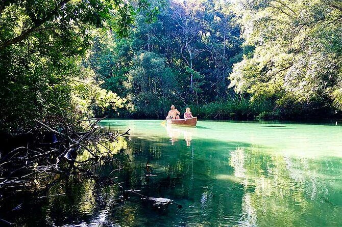 Weeki Wachee kayaking - A Closer Look at the Experience