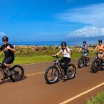 West Maui eBike Self-Guided Island Adventure Tour - The Sum Up