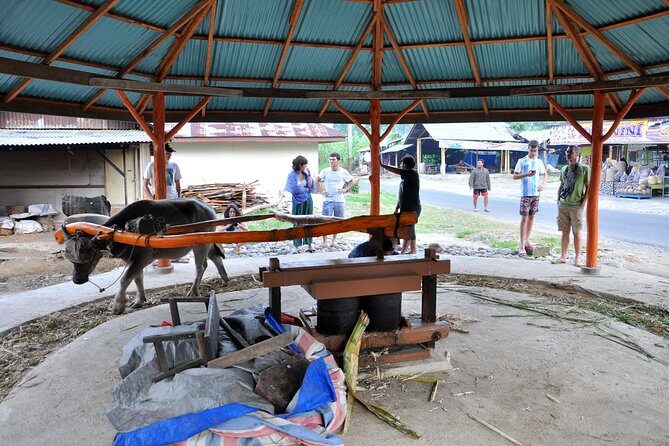West Sumatra Cultural Tour With Accommodation 4 Days 3 Nights - The Practicalities: What You Need to Know