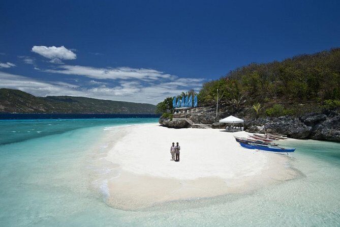Whale Shark Encounter and Sumilon Sandbar with Kawasan Falls - Transportation and Timing