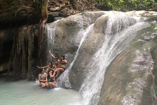 Whale Shark Swimming Experience and Aguinid Falls from Cebu - The Trek to Aguinid Falls: Realities and Rewards
