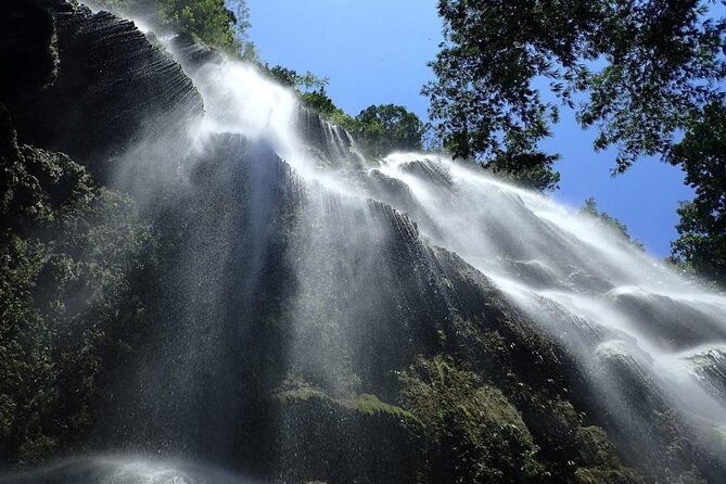 Whale Shark & Tumalog Falls & Sumilon Sandbar & Pescador Island with Sardines - The Verdict: Who Is This Tour Perfect For?
