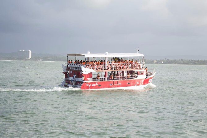 Whale Watching Mirissa with Eagle Eye - Who Is This Tour Best Suited For?