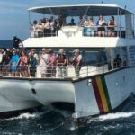 Whale Watching Mirissa with (WWC) - Is This Tour Worth It?