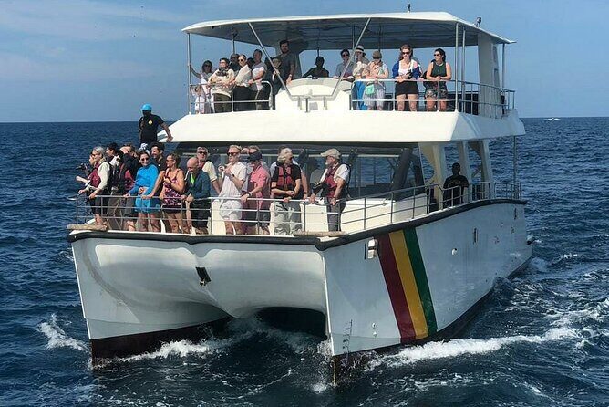 Whale Watching Mirissa with (WWC) - Is This Tour Worth It?