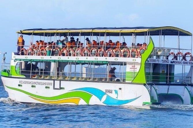 Whales and Dolphins Watching-Luxury Super Grade Cruiser(Hotel Pick up offered) - The Sum Up