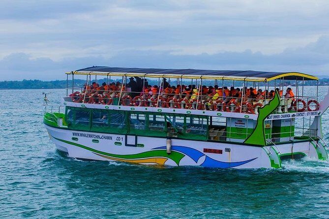 Whales & Dolphin Watching Day Tour including Handunugoda Teafactory - Who This Tour Suits Best