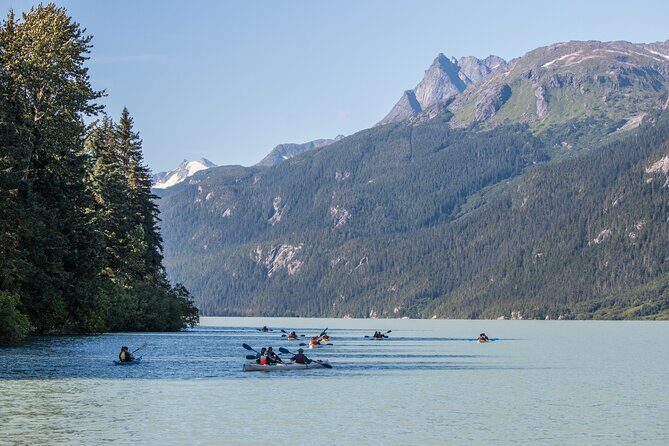 Wilderness Kayak Adventure in Haines - The Value of This Tour