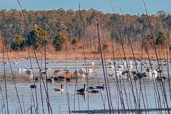 Wildlife Photo Safari - The Main Stops: Wildlife and Photography Opportunities