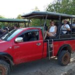 Wilpattu National Park Leopard safari from Colombo/Negambo - What to Keep in Mind Before Booking