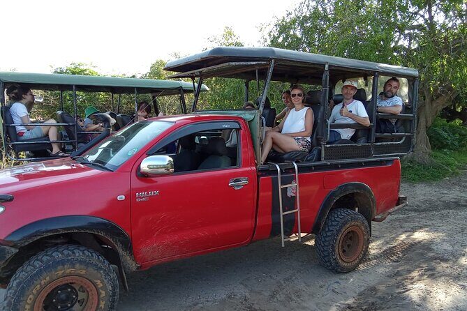 Wilpattu National Park Leopard safari from Colombo/Negambo - What to Keep in Mind Before Booking