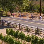 Wine Country E-Bike Guided Tour - w/o Lunch - Practical Details and What They Mean for You