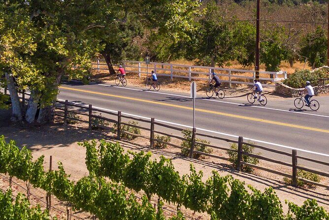 Wine Country E-Bike Guided Tour - w/o Lunch - Practical Details and What They Mean for You