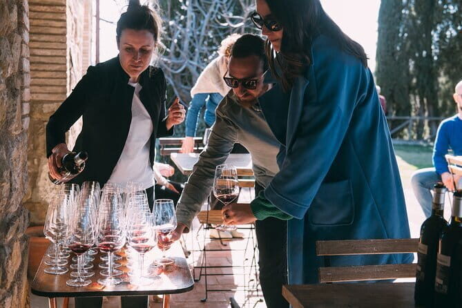 Wine Experience In Chianti Hills from Florence - Who Is This Tour Best For?