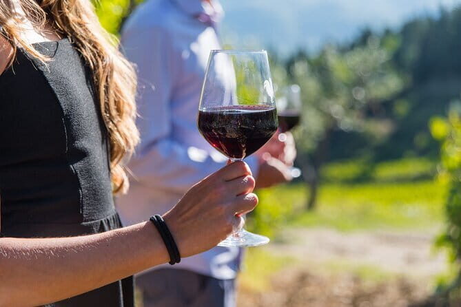 Wine Hiking Sip & Trek - A Detailed Look at the Wine Hiking Sip & Trek