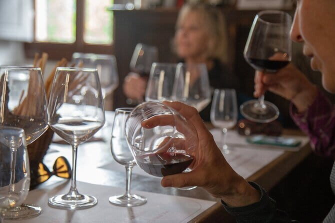 Wine Tasting Activity at Chianti Rufina - Who Will Love This Tour?