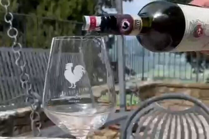 Wine tasting in TWO family wineries around Florence - The Value of This Wine Tasting Tour