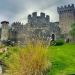 Wine Tour Transportation Services in Napa Valley - Why This Tour Works Well