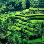 Wonderful Of Ubud Tours - Authenticity and Cultural Insights