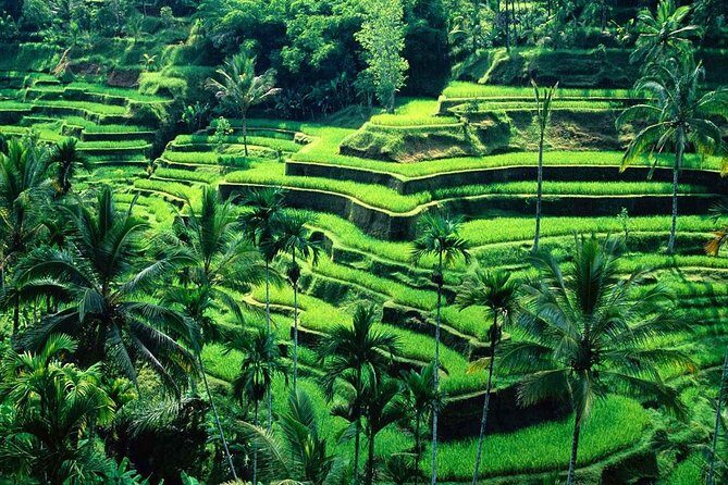 Wonderful Of Ubud Tours - Authenticity and Cultural Insights