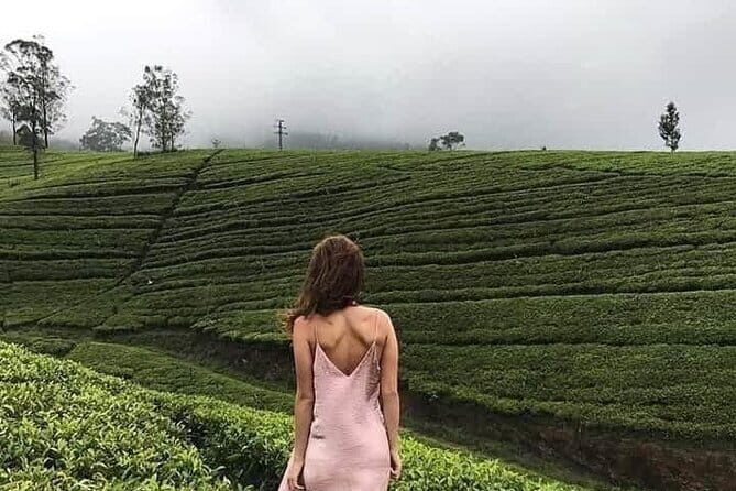 Wonderful Srilankan 14 Days Tours - Who Will Love This Tour?
