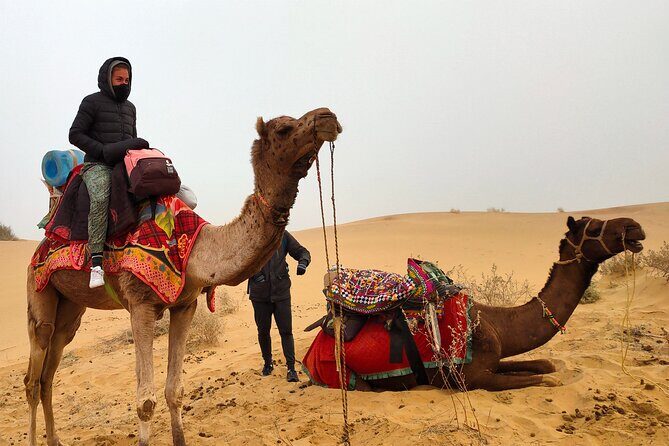 Wonderlust Desert & Camel Safari with Rumi Caravan of Thar Desert - FAQs