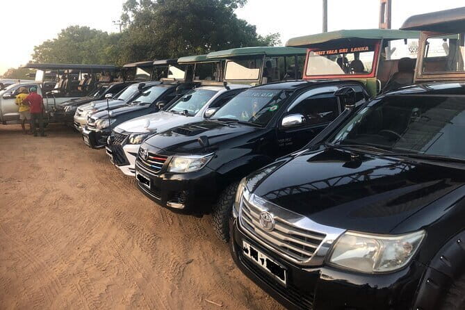 Yala and Udawalawa National Park Safari Tour From Hambantota port - Authentic Encounters and Real Reviews