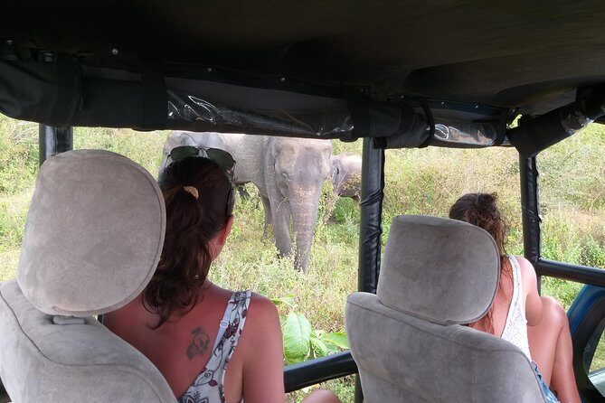 Yala half day safari - Who is This Tour Best For?