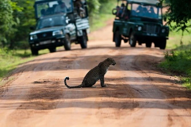Yala National Park (Day Tour) - Final Thoughts