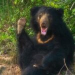 Yala National Park - Full Day Safari (04:30 am - 06:00 pm) - The Experience in Detail