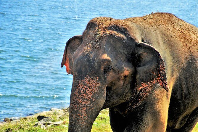 Yala National Park Private Safari - FAQ