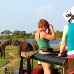 Yala Safari Tour from Hambantota Port (Shore Excursion) - Key Points
