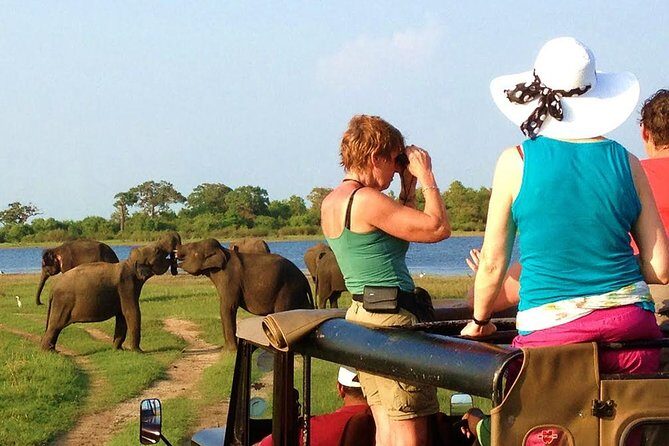 Yala Safari Tour from Hambantota Port (Shore Excursion) - Key Points