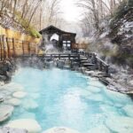 Yamagata / Yamadera 6hr Private Trip with Licensed Guide - FAQ