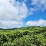 Yamingshan Volcano, Beitou Thermal Valley, Danshui Private Tour - An In-Depth Look at the Tour Experience