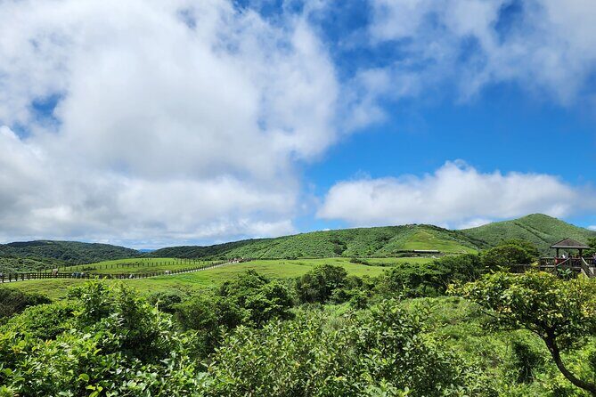 Yamingshan Volcano, Beitou Thermal Valley, Danshui Private Tour - An In-Depth Look at the Tour Experience