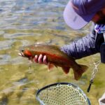 Yellowstone Full Day Wade Fishing Trip - Final Thoughts
