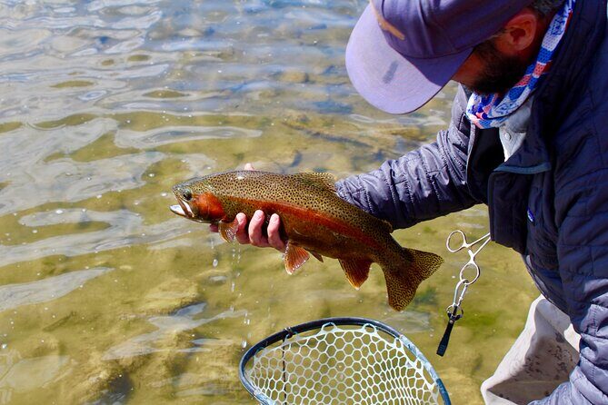 Yellowstone Full Day Wade Fishing Trip - Final Thoughts