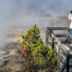 Yellowstone & Grand Teton National Parks Winter Tour: Small Group 4-Day Tour - What Makes This Tour Stand Out?