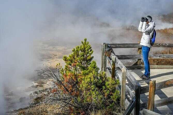 Yellowstone & Grand Teton National Parks Winter Tour: Small Group 4-Day Tour - What Makes This Tour Stand Out?
