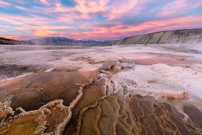 Yellowstone in a Day - Wildlife, Canyons, & Hot Springs - Why We Think This Tour Offers Good Value