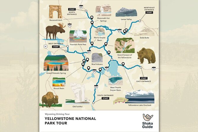Yellowstone National Park Self-Guided Audio Tour - The Experience: What Makes It Stand Out